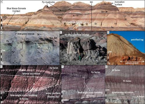 MICP and Deterministic Rock Typing